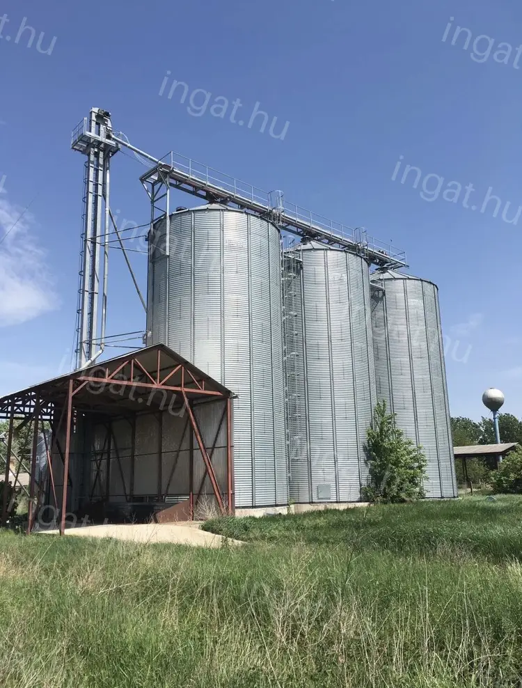 Gógánfán termény tárolására kialakított telephely eladó
