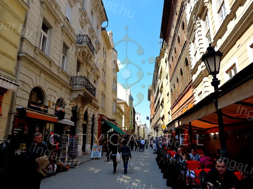 Budapest, V. kerület — Üzlethelyiség (#10825128)
