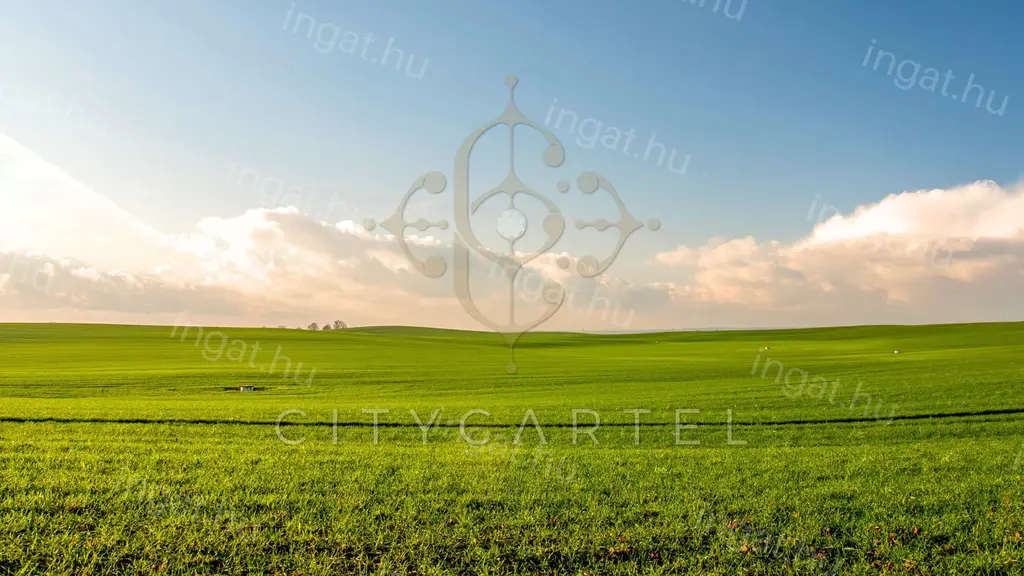 Debrecen — Építési telek (#10824232)