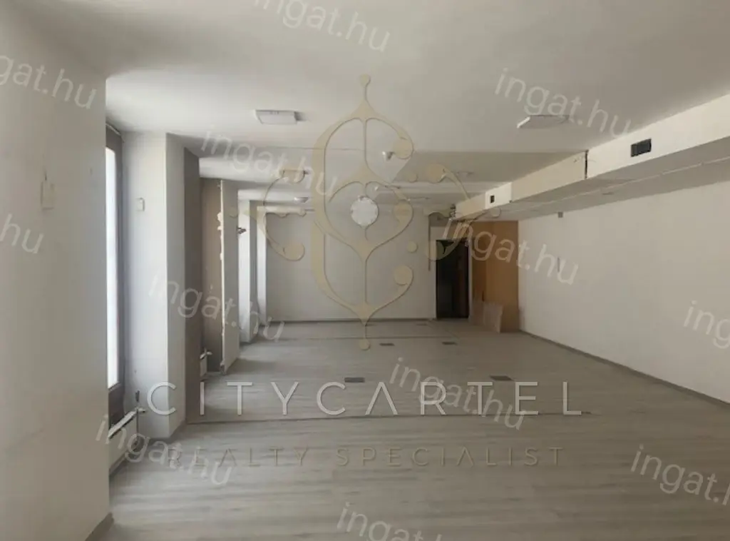 Budapest, VI. kerület — Üzlethelyiség (#10824285)