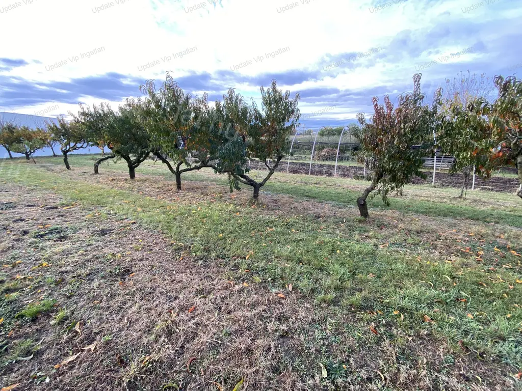 SIÓFOK SZABADIFÜRDŐN TELEK ELADÓ!