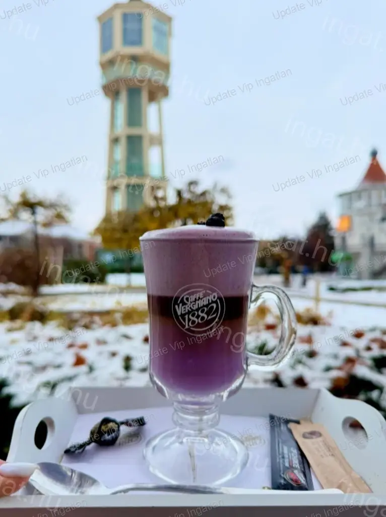 SIÓFOK BELVÁROSBAN, AZ EGYIK LEGÉRTÉKESEBB UTCAFRONTI, JELENLEG IS ÜZEMELŐ (EGÉSZ ÉVES!) TERASZOS VENDÉGLÁTÓHELY/ÜZLETHELYISÉG KIADÓ!