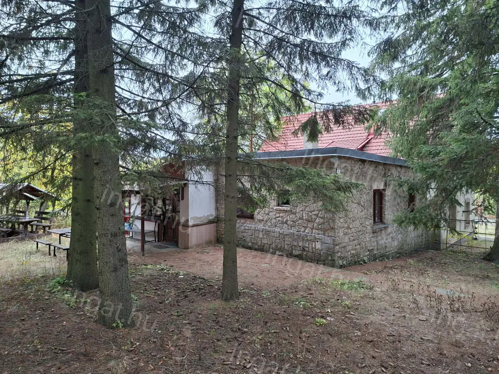 Mátraszentlászló sípályához közel üdülőközpont eladó