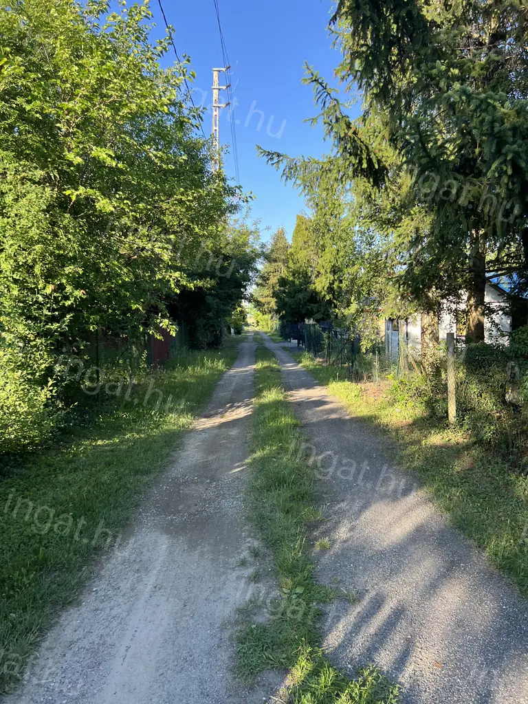 Szombathelyen vízzel,villannyal 608 nm-es kert eladó sok gyümölcsfával