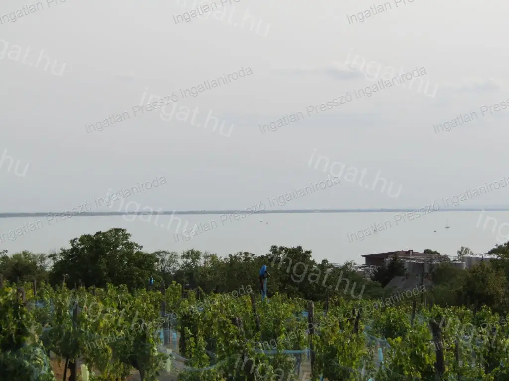 Balatoni panorámás 1570 m2-es zártkert eladó Badacsonyörsön!