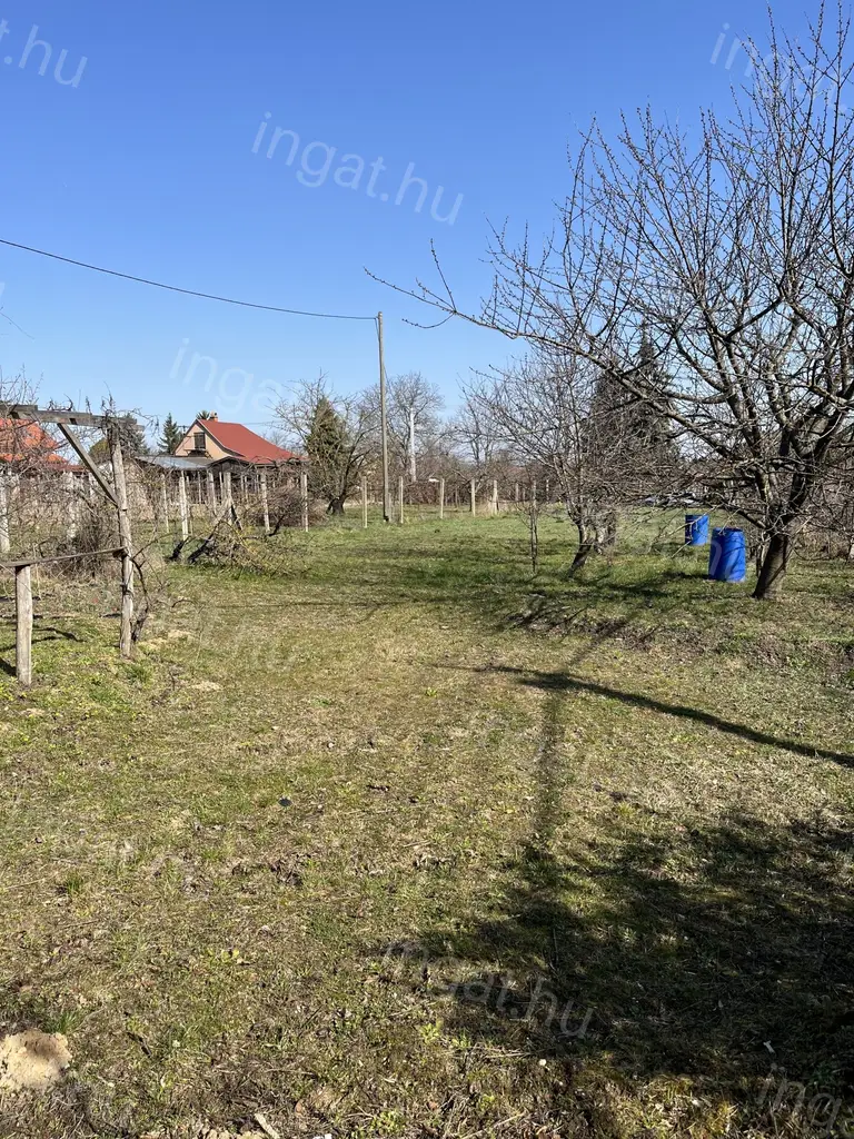Pápa — Telek (#347924)