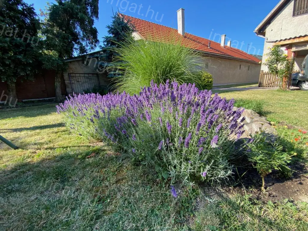 Eladó ház Sátoraljaújhely Deák utca 150m2 ref:
